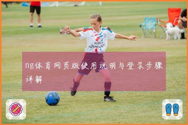ng体育网页版使用说明与登录步骤详解