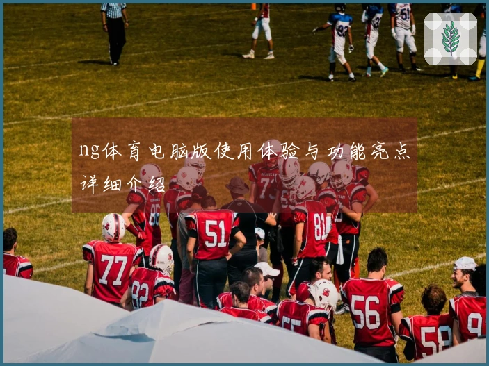 ng体育电脑版使用体验与功能亮点详细介绍