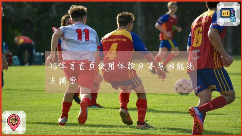 ng体育首页使用体验分享与功能亮点揭密