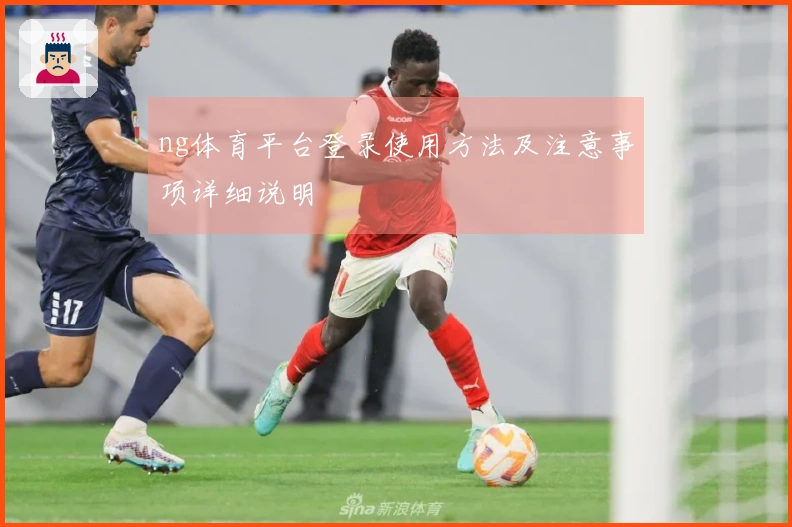 ng体育平台登录使用方法及注意事项详细说明
