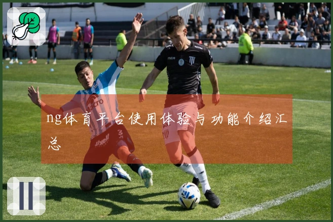 ng体育平台使用体验与功能介绍汇总