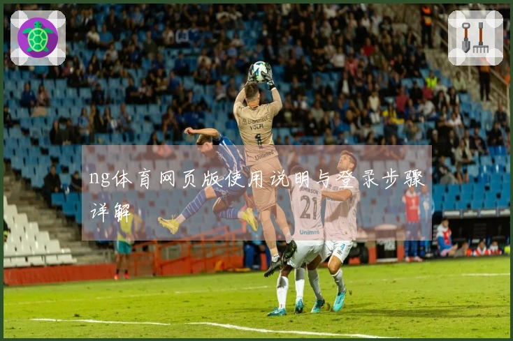 ng体育网页版使用说明与登录步骤详解