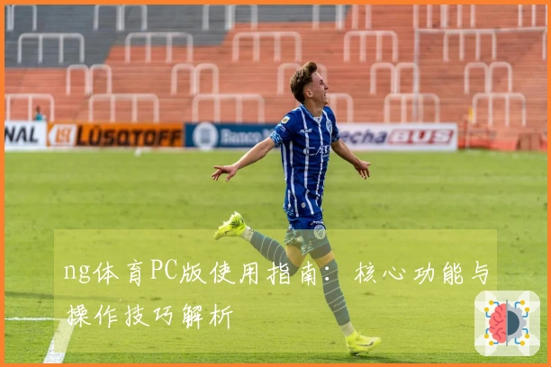 ng体育PC版使用指南：核心功能与操作技巧解析
