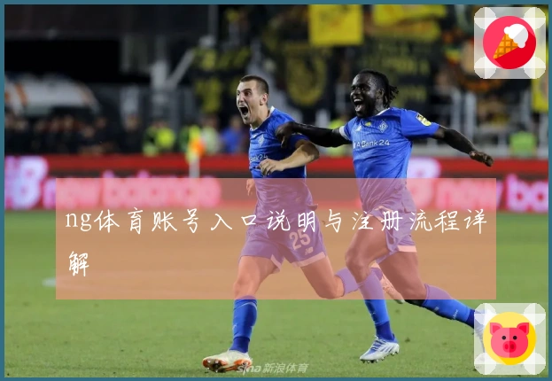 ng体育账号入口说明与注册流程详解