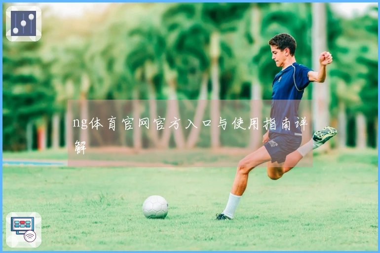 ng体育官网官方入口与使用指南详解
