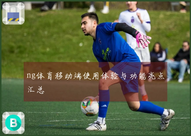 ng体育移动端使用体验与功能亮点汇总