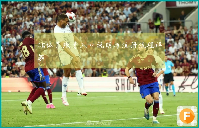 ng体育账号入口说明与注册流程详解